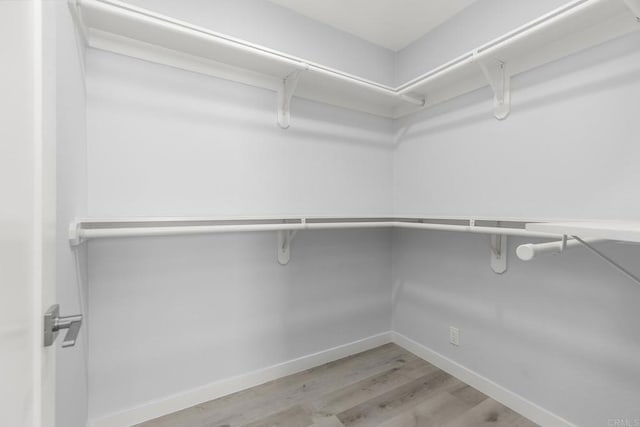 spacious closet featuring light wood-style flooring