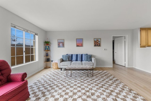 living area with baseboards and wood finished floors