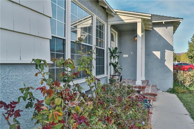 property entrance featuring stucco siding