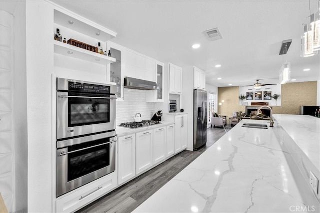 kitchen featuring visible vents, a sink, under cabinet range hood, stainless steel appliances, and decorative backsplash