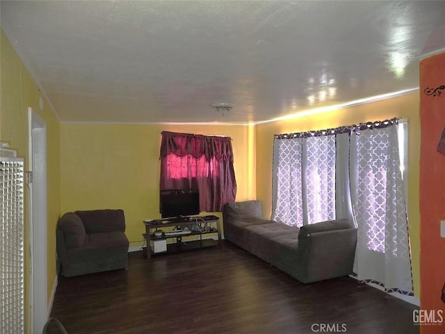 living room featuring wood finished floors