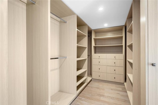 spacious closet with light wood finished floors