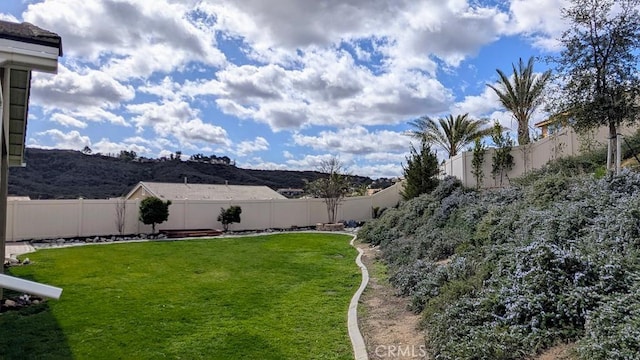 view of yard with a fenced backyard