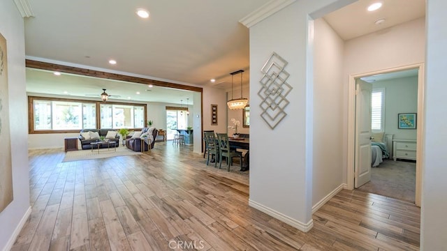 corridor featuring a healthy amount of sunlight and wood finished floors