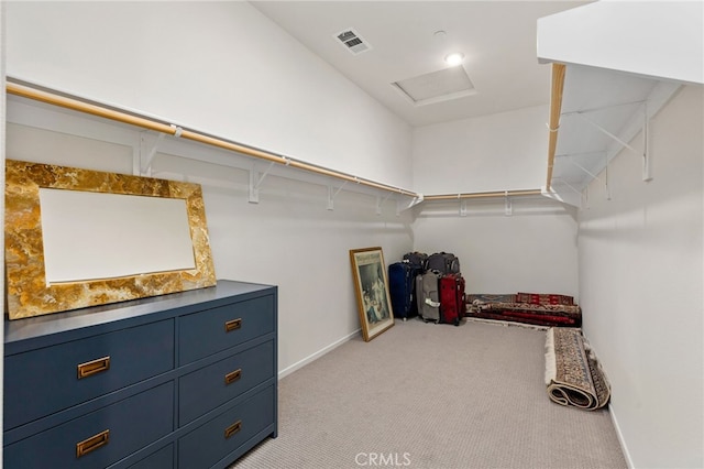 walk in closet featuring visible vents, light colored carpet, and attic access