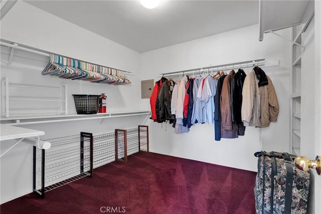 spacious closet featuring carpet floors