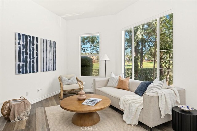 living room featuring baseboards and wood finished floors