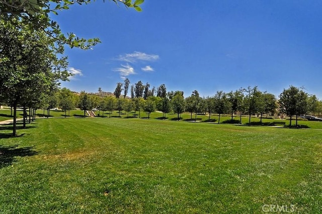 view of home's community with a yard