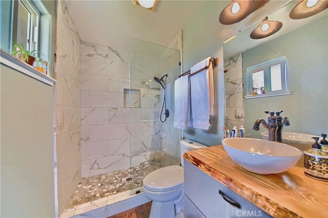 bathroom featuring toilet, vanity, and walk in shower