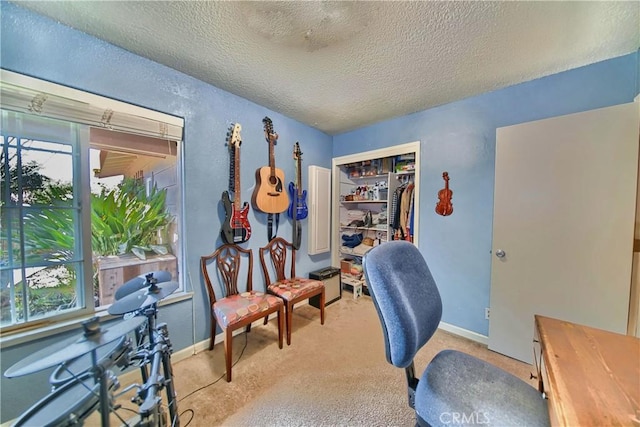 home office with light colored carpet, baseboards, and a textured ceiling