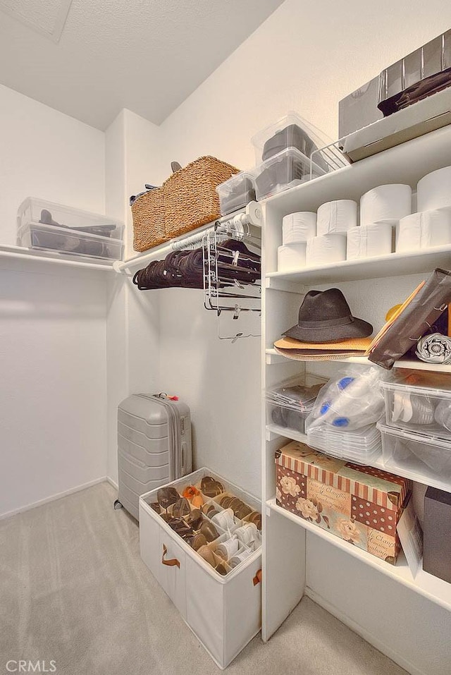 spacious closet with light carpet