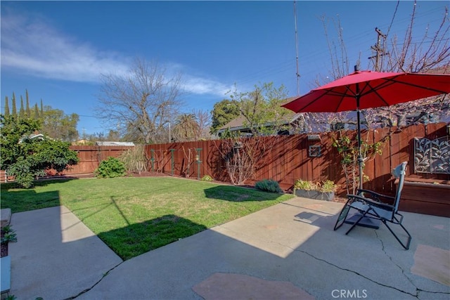 view of yard featuring a fenced backyard and a patio