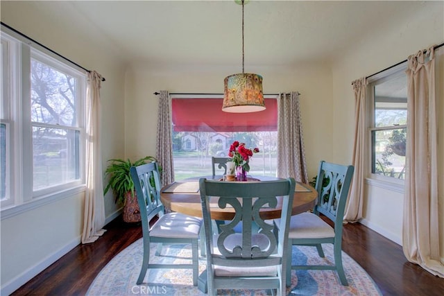 dining room featuring baseboards, plenty of natural light, and wood finished floors