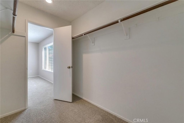 spacious closet featuring light colored carpet