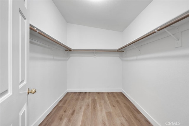 walk in closet with light wood-type flooring