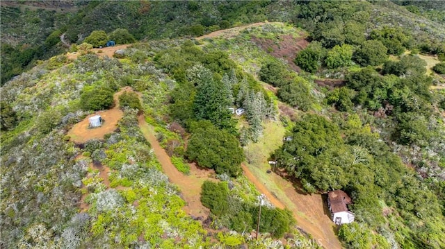 3395 Wallace Mountain Rd, Cayucos CA, 93430 land for sale