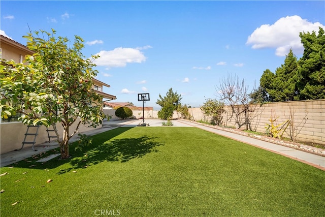 view of yard featuring a fenced backyard