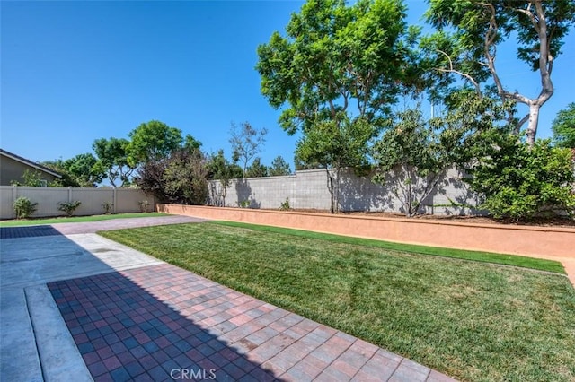 view of yard featuring a fenced backyard and a patio area