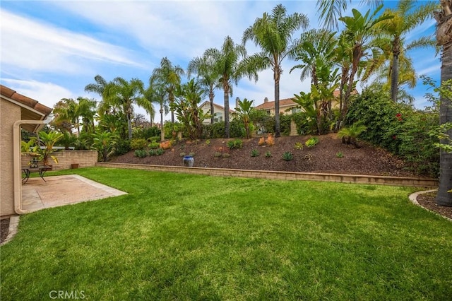 view of yard featuring a patio area