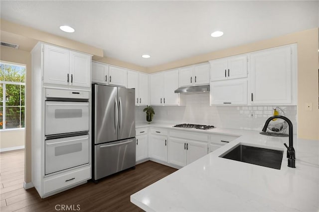 kitchen with under cabinet range hood, stainless steel appliances, light countertops, and a sink