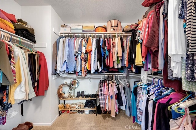 spacious closet featuring carpet flooring