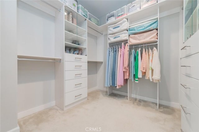 walk in closet featuring light colored carpet