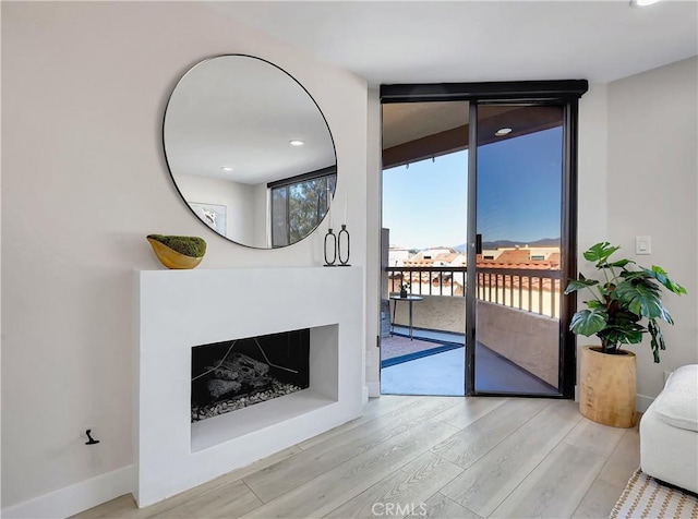 living area with baseboards, wood finished floors, and a fireplace