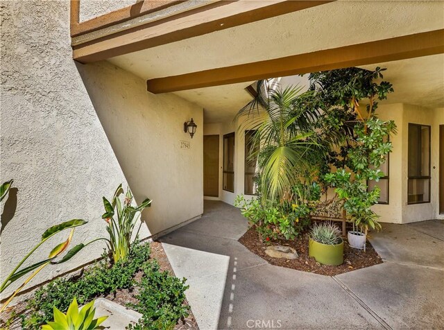 doorway to property featuring stucco siding