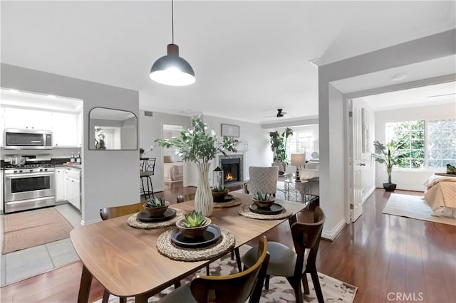 dining area with baseboards, a warm lit fireplace, ceiling fan, and light wood finished floors