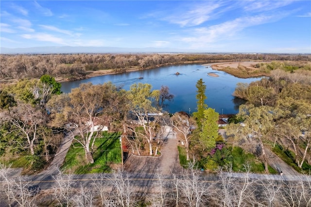 drone / aerial view featuring a forest view and a water view