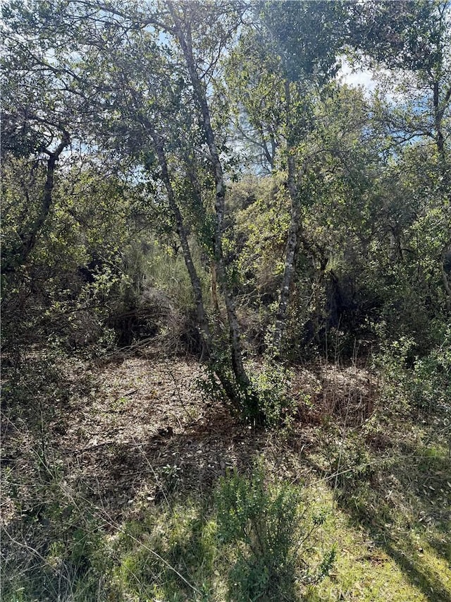 6430 Plunkett Ln, Kelseyville CA, 95451 land for sale