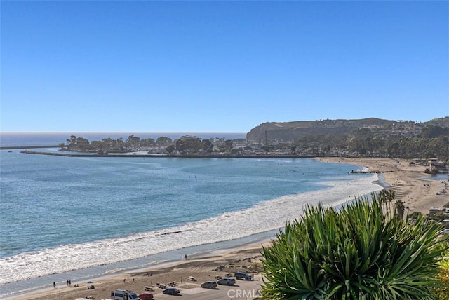 34541 Camino Capistrano, Dana Point, CA 92624 - photo 42