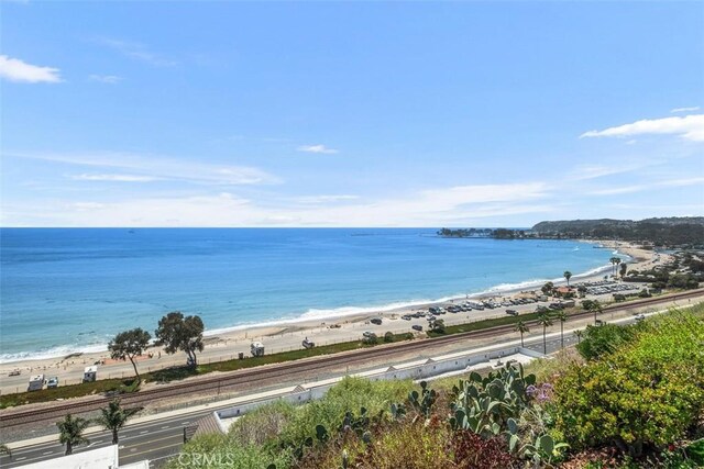 34541 Camino Capistrano, Dana Point, CA 92624 - photo 43