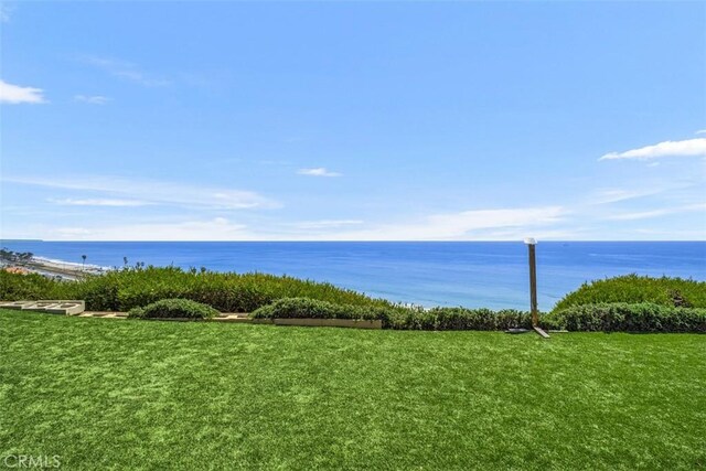 34541 Camino Capistrano, Dana Point, CA 92624 - photo 39