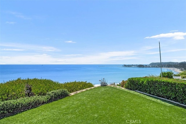 34541 Camino Capistrano, Dana Point, CA 92624 - photo 40