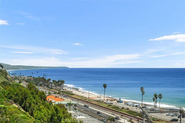 34541 Camino Capistrano, Dana Point, CA 92624 - photo 35