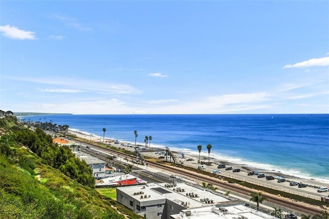 34541 Camino Capistrano, Dana Point, CA 92624 - photo 34