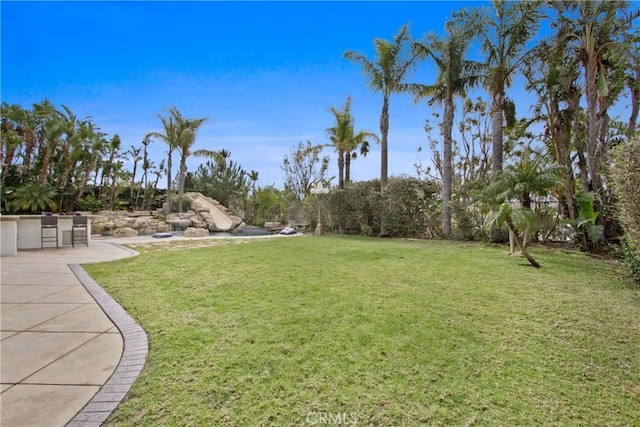 view of yard featuring a patio area