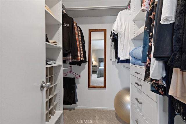 walk in closet featuring carpet floors