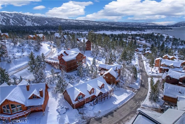 snowy aerial view featuring a mountain view