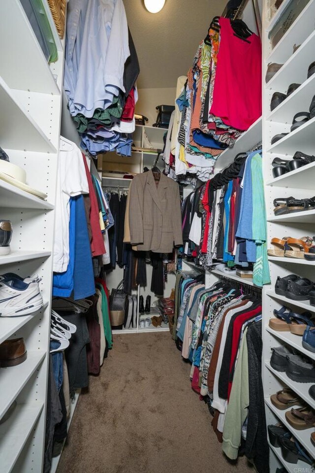 spacious closet featuring carpet