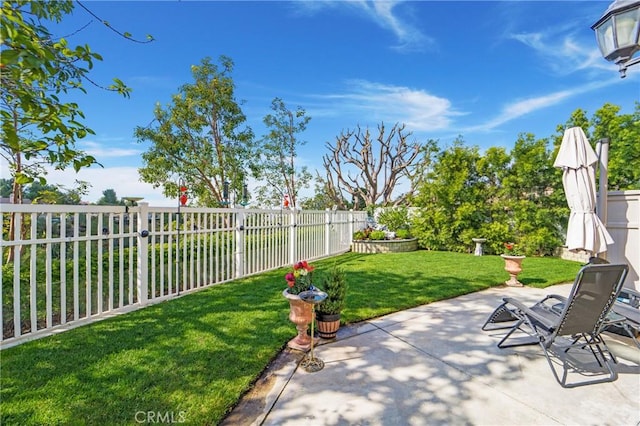 view of yard with a patio area and a fenced backyard