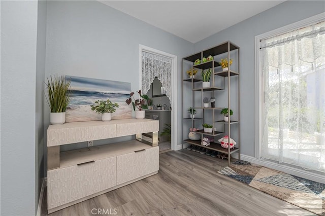 interior space featuring baseboards and wood finished floors