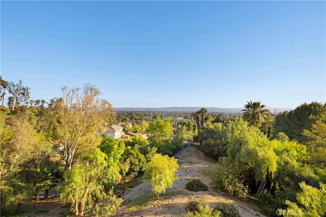 view of local wilderness with a forest view