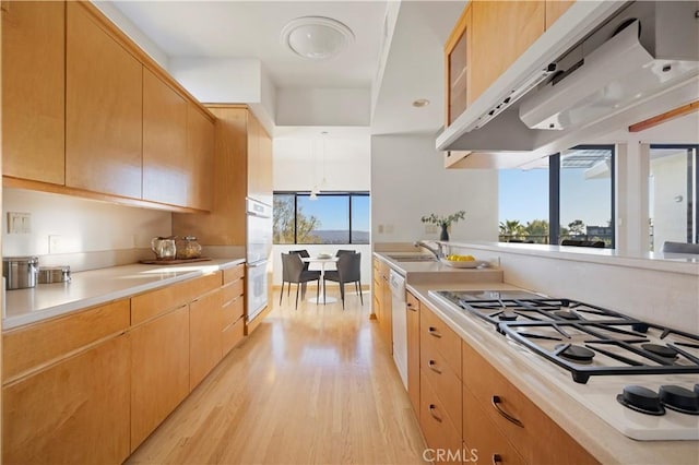 kitchen with light wood-style flooring, under cabinet range hood, a sink, white appliances, and light countertops