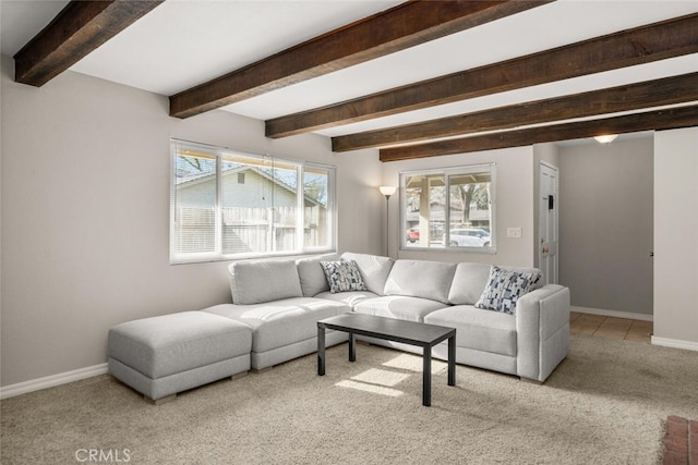 carpeted living area featuring baseboards and beam ceiling