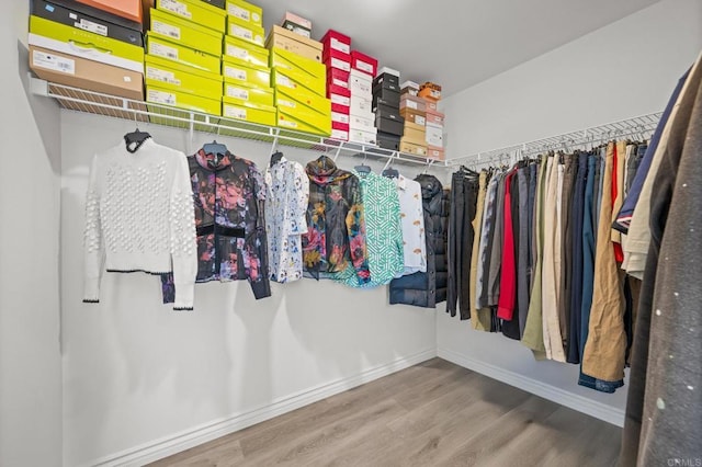 spacious closet with wood finished floors