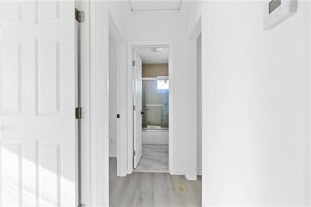 hallway featuring attic access and light wood-style floors