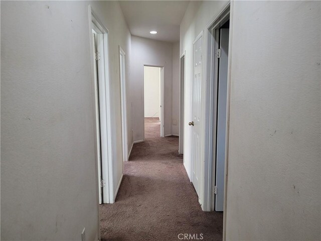 corridor featuring carpet flooring