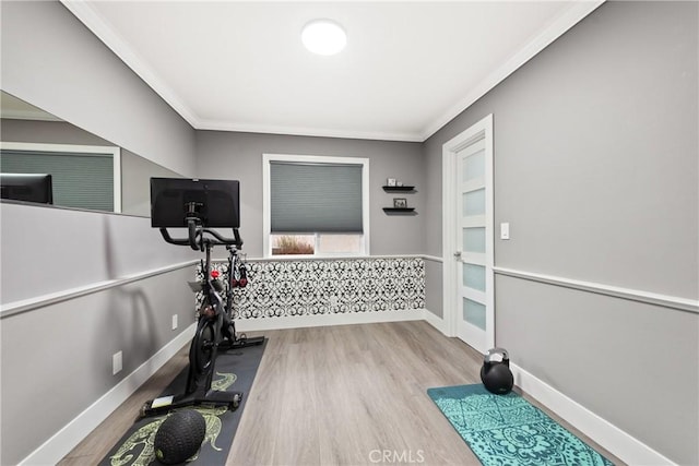 workout area with crown molding, wood finished floors, baseboards, and wainscoting